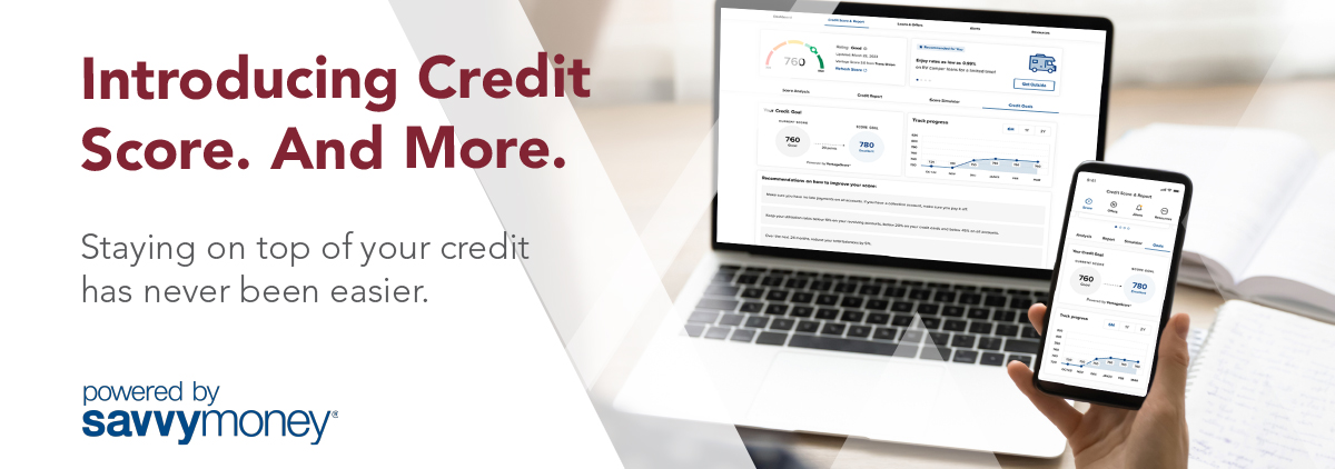 Credit score powered by savvy money