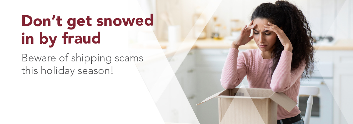 Image informing about holiday shipping scams