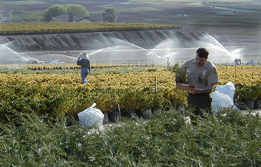 Field Inspection