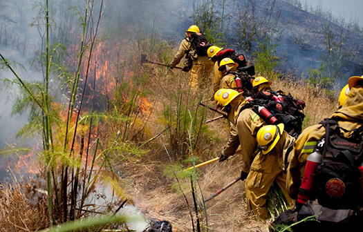 Firefighters